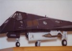 Lockheed F-117A GPM 166 01.jpg

29,84 KB 
794 x 562 
25.02.2005
